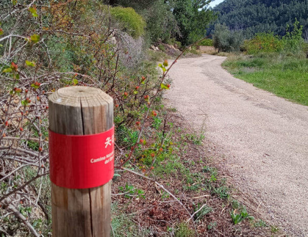 Natural Path Benifallet - Miravet