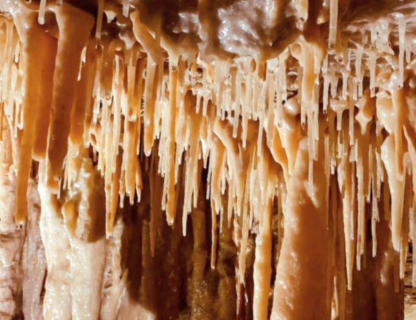 coves - centre xerrada (36)