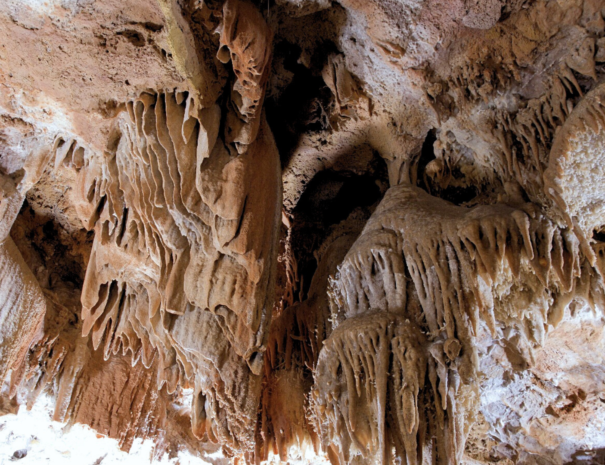 entrada discapacitats