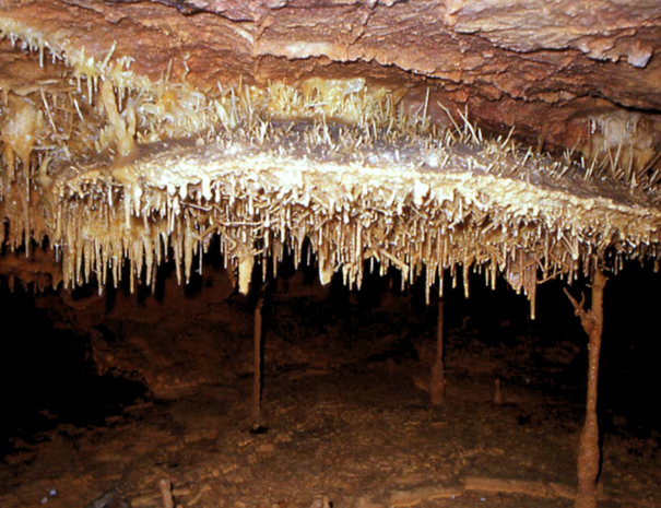 coves_entrada infantil