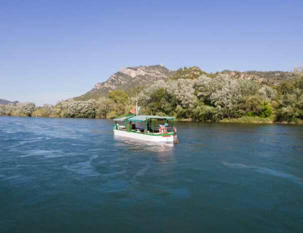 Llagut Benifallet amb el Carmull al fons